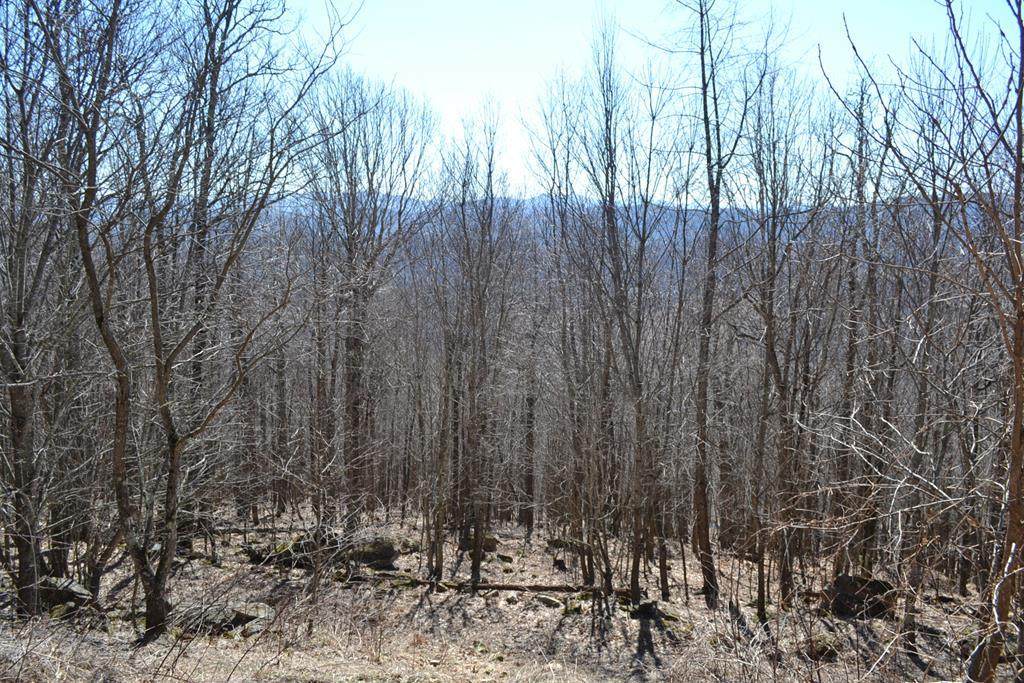 Lot 7 Holiday Lane - Photo 1