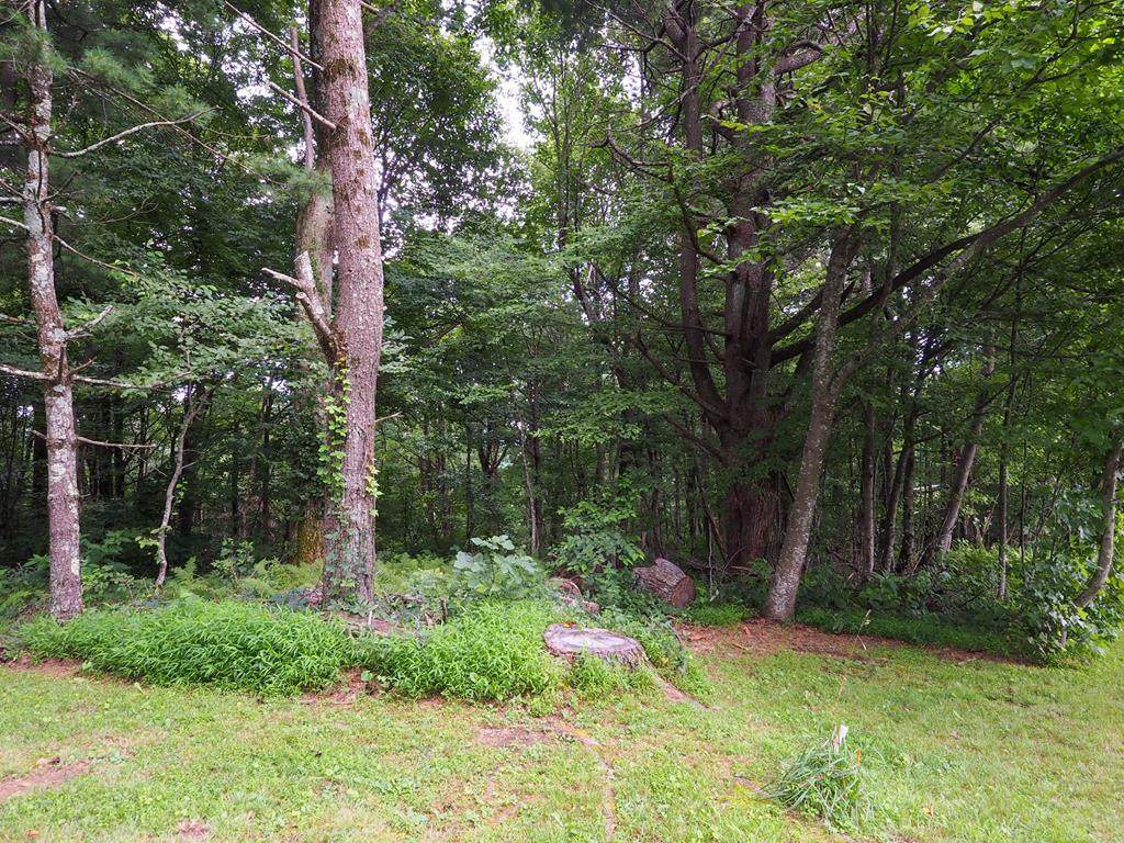 TBD Countytop Lane - Photo 1