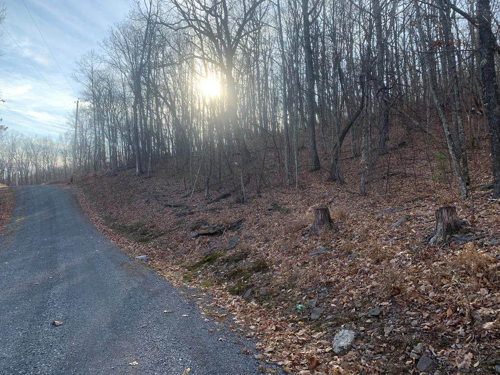 TBD Ridgetop Rd - Photo 1