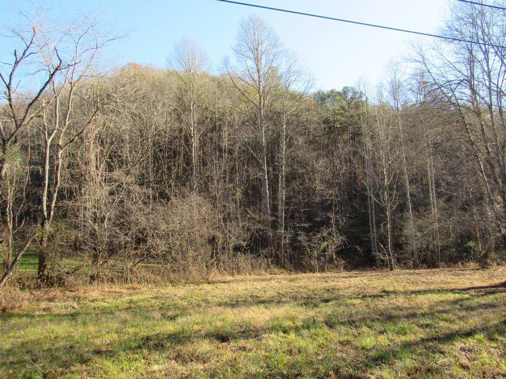 TBD Mendota Rd - Photo 1