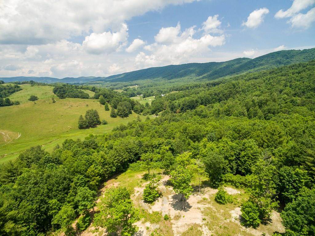 Lot 4 Gem Stream Rd - Photo 1