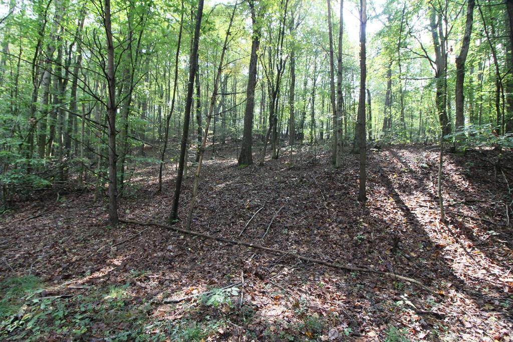 TBD Sycamore Road - Photo 1