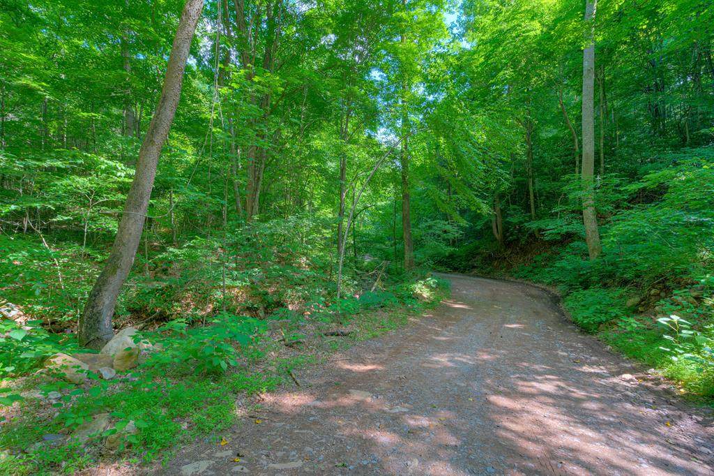 0 Old Wolf Creek Road - Photo 1