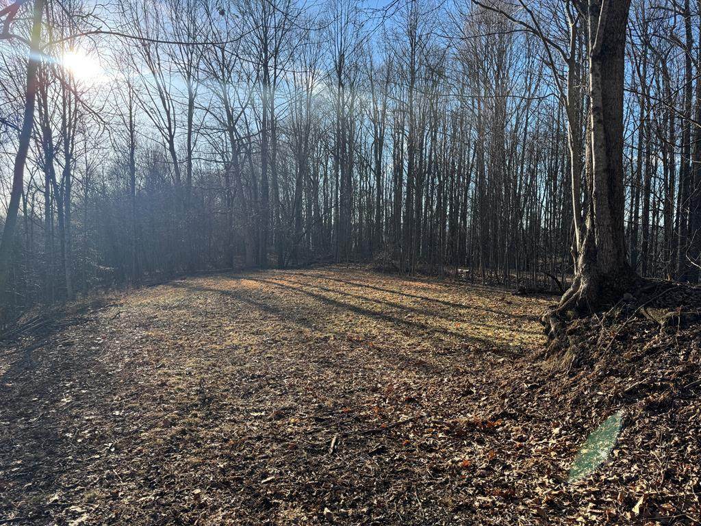 31203 Hardwood Dr - Photo 1