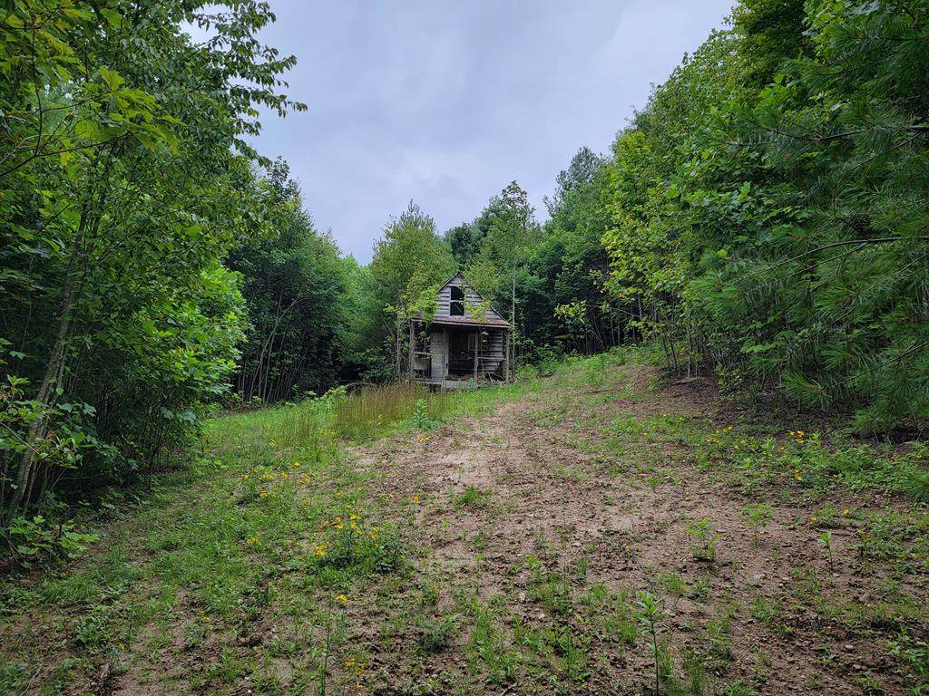 TBD Spring Valley Rd - Photo 1