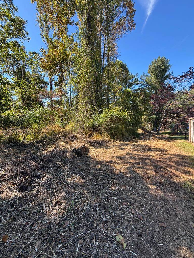 TBD Stanley Dr - Photo 1