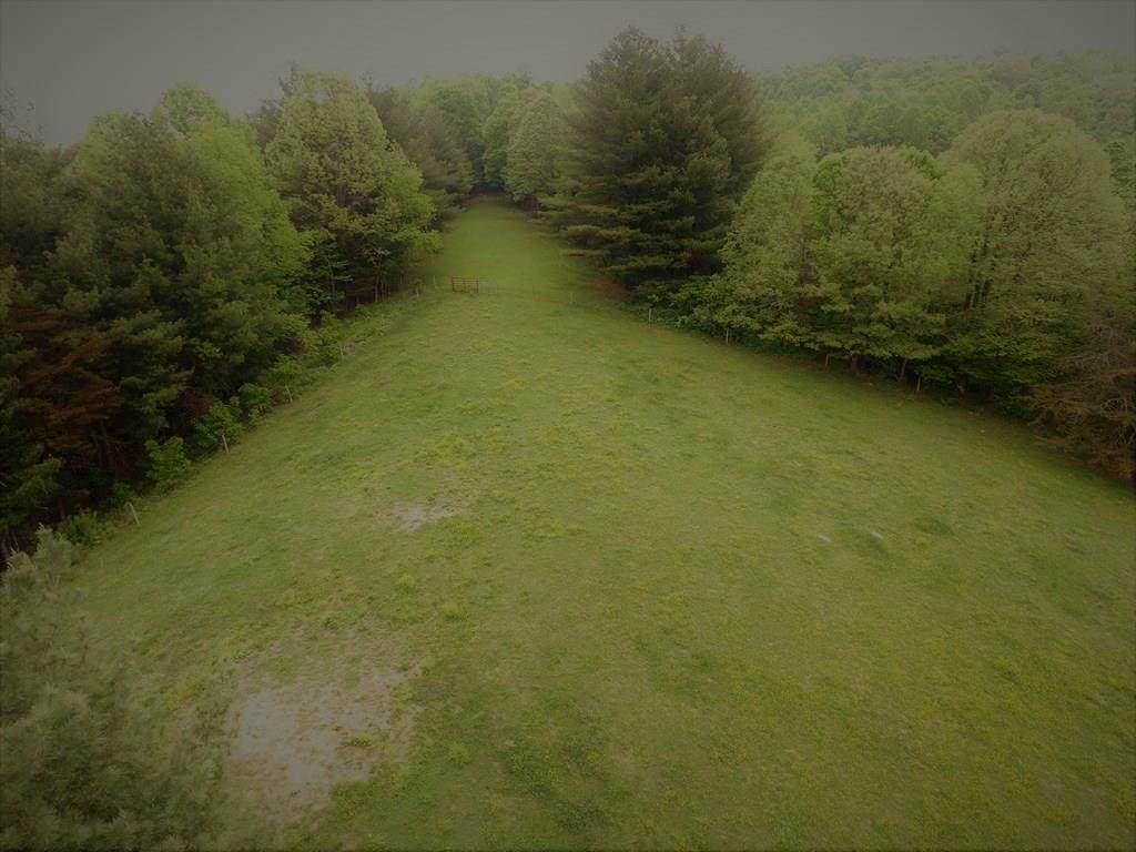 TBD Crab Orchard Rd - Photo 1