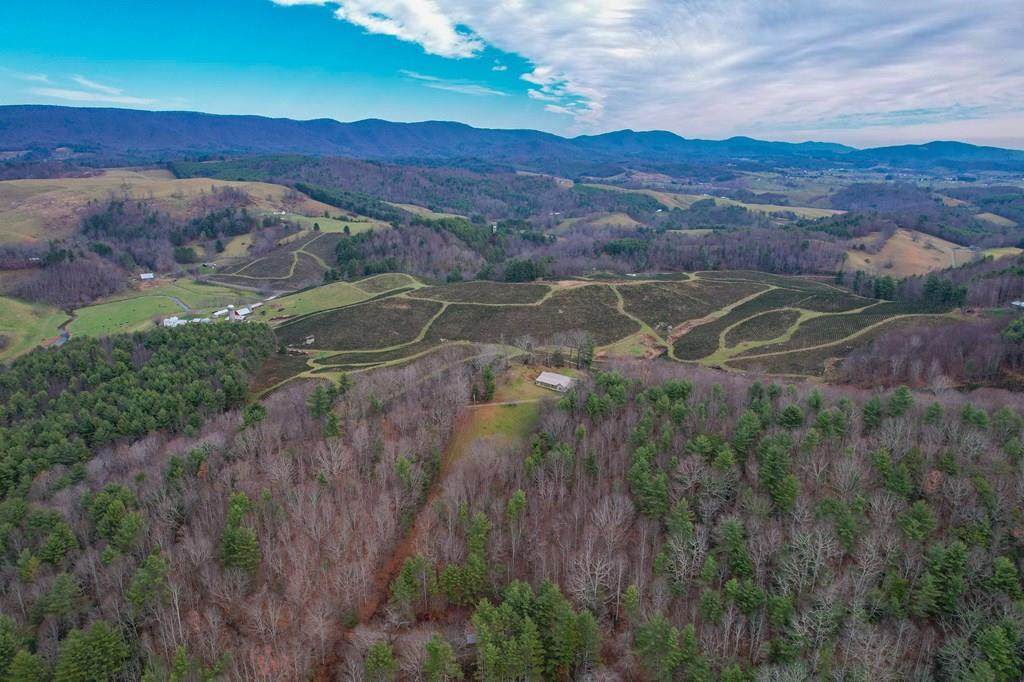 523 Falls Rd - Photo 1