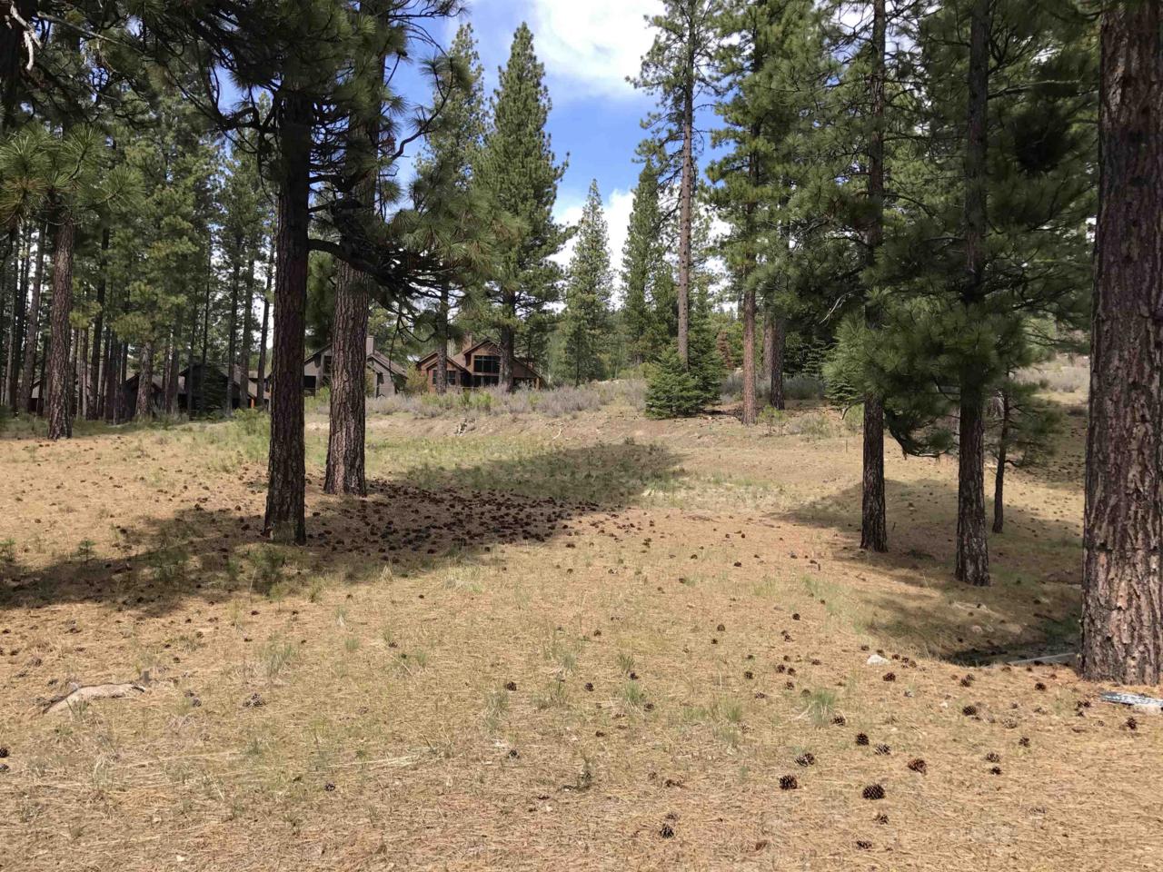 153 Saddle Ridge Road - Photo 1