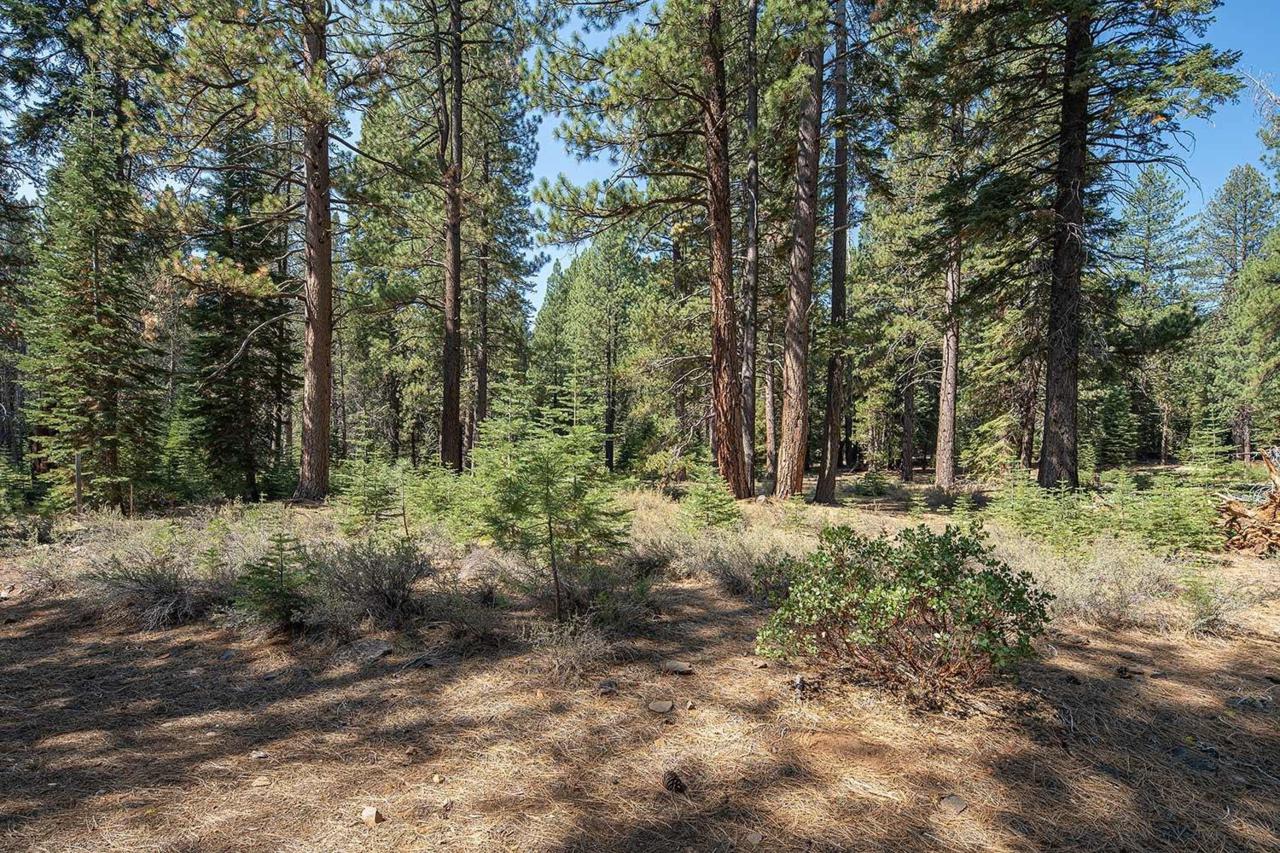11830 Bottcher Loop - Photo 1