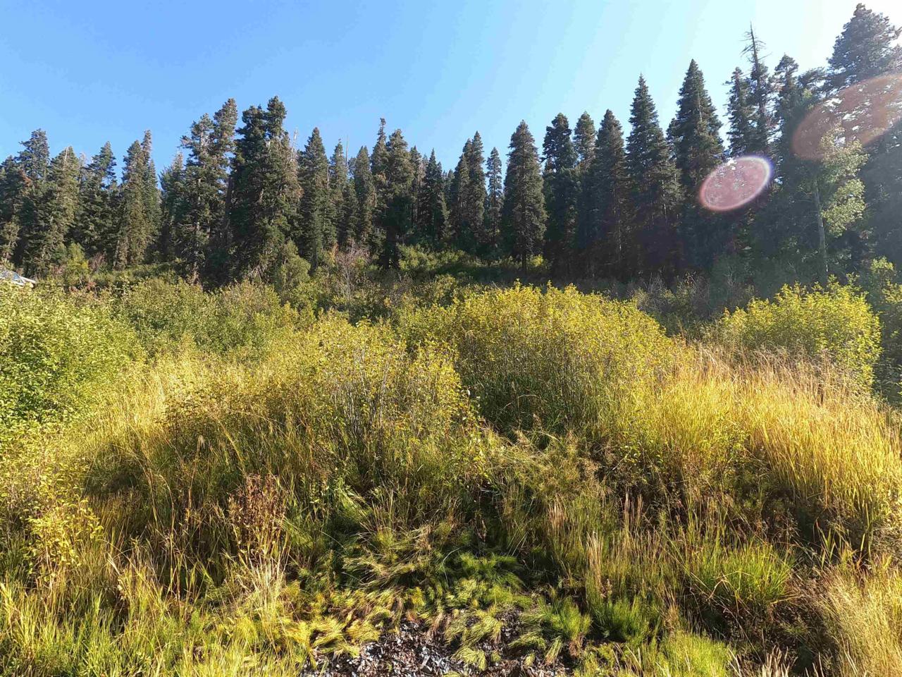 1051 Snow Crest Road - Photo 1