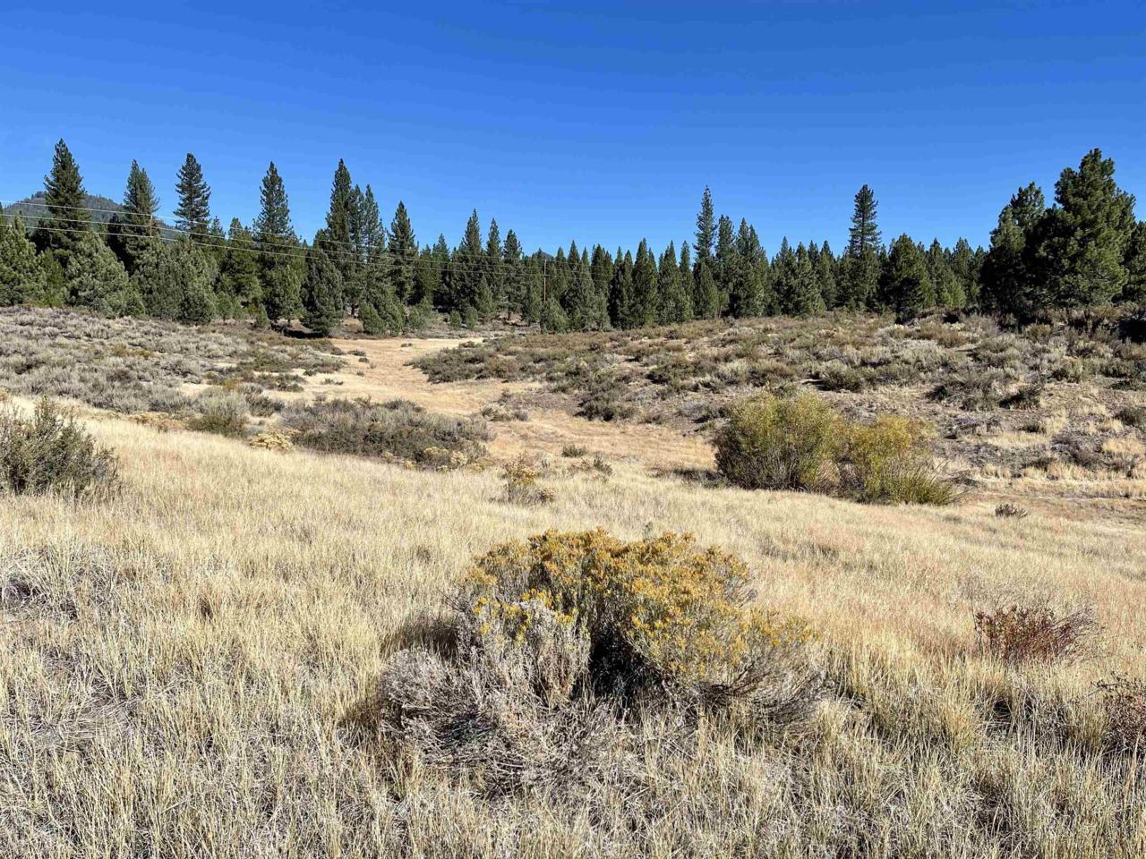72835 Highway 70 - Photo 1