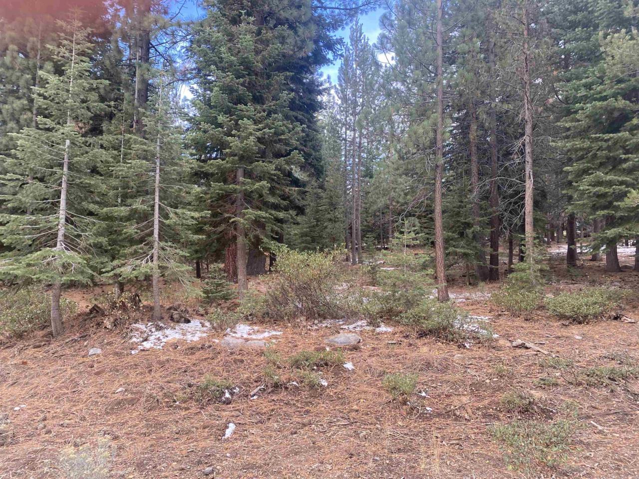 12864 Peregrine Drive - Photo 1