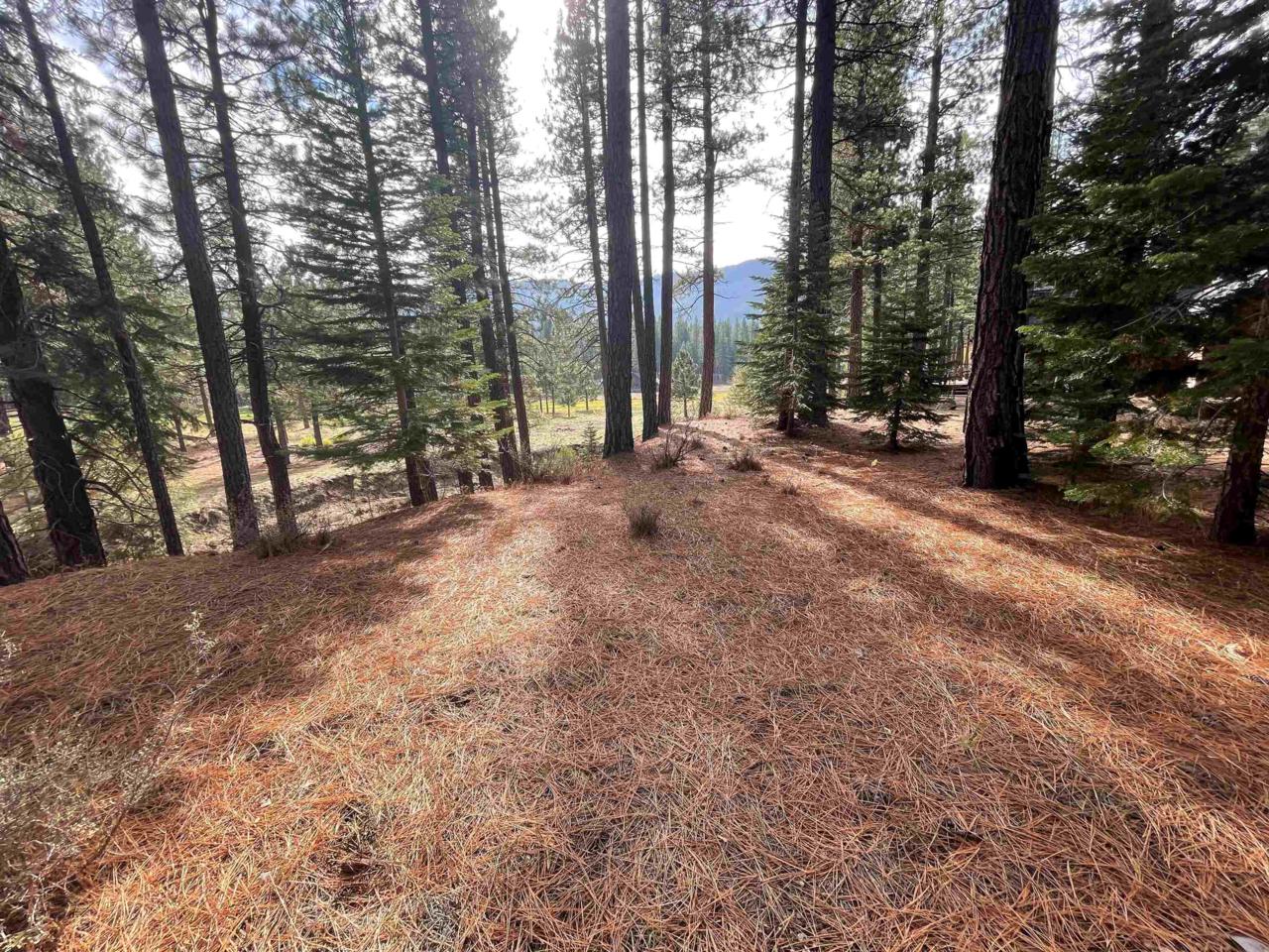 564 Bobcat Trail - Photo 1