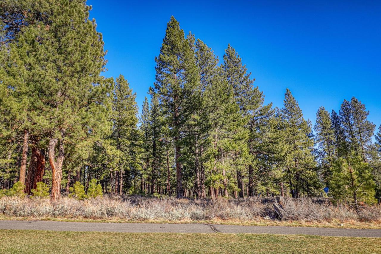 12720 Horizon Drive - Photo 1