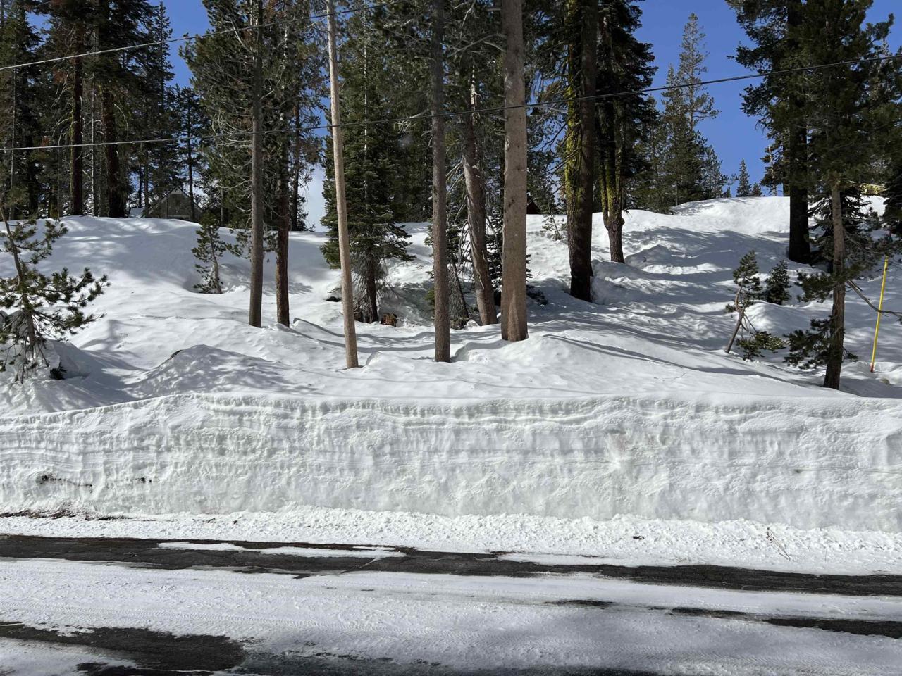 7233 Palisade Road - Photo 1