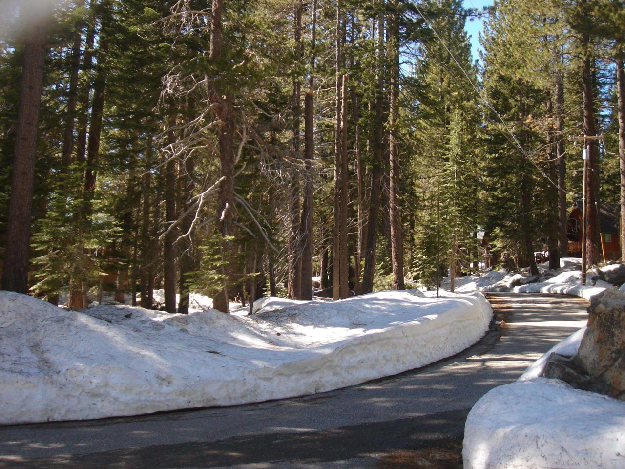 50946 White Fir Terrace - Photo 1