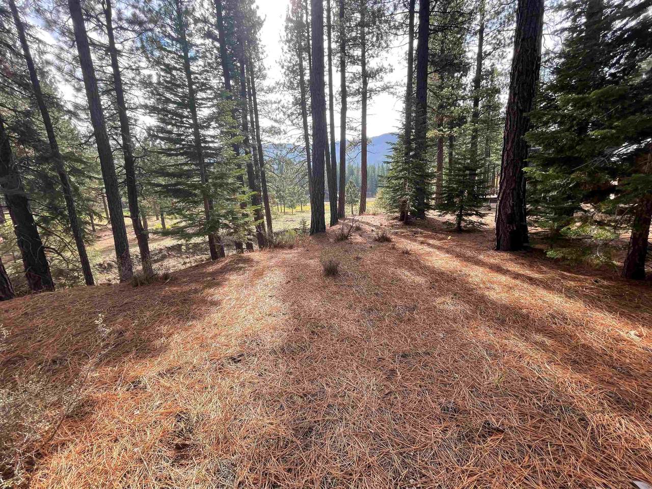 564 Bobcat Trail - Photo 1