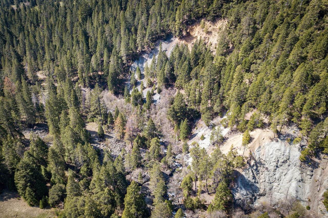 420 Goodyears Creek Road - Photo 1