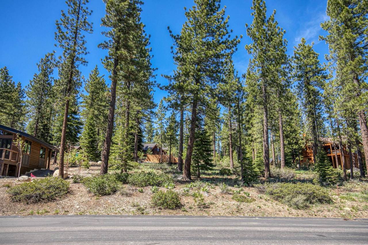 11950 Cavern Way - Photo 1
