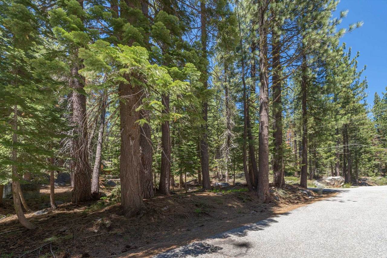 50946 White Fir Terrace - Photo 1
