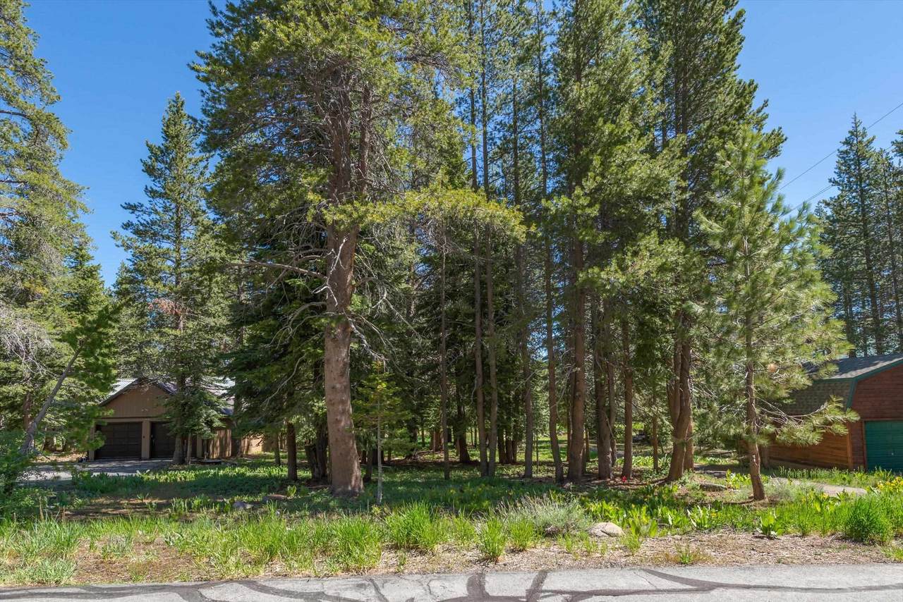 14820 Davos Drive - Photo 1