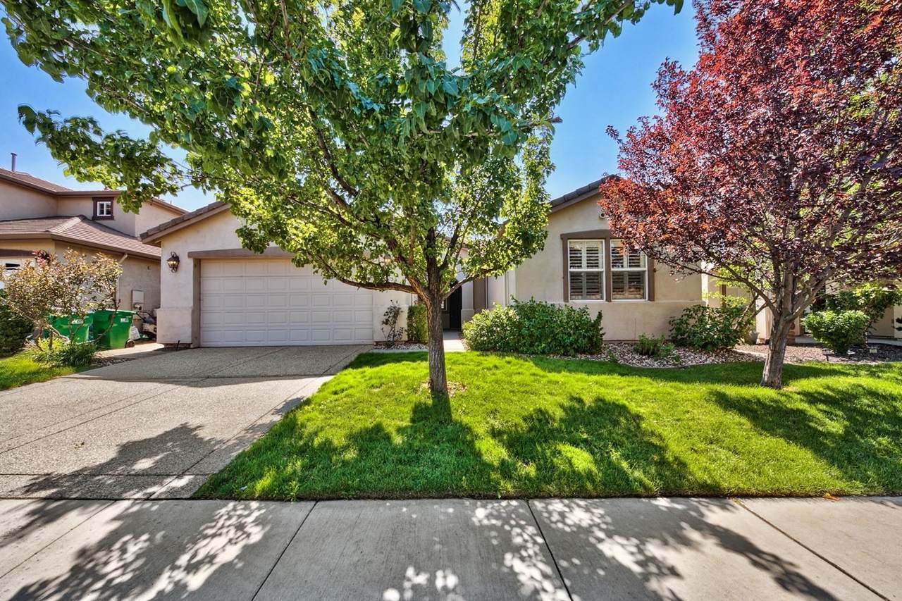 10675 Fire Poppy Circle - Photo 1