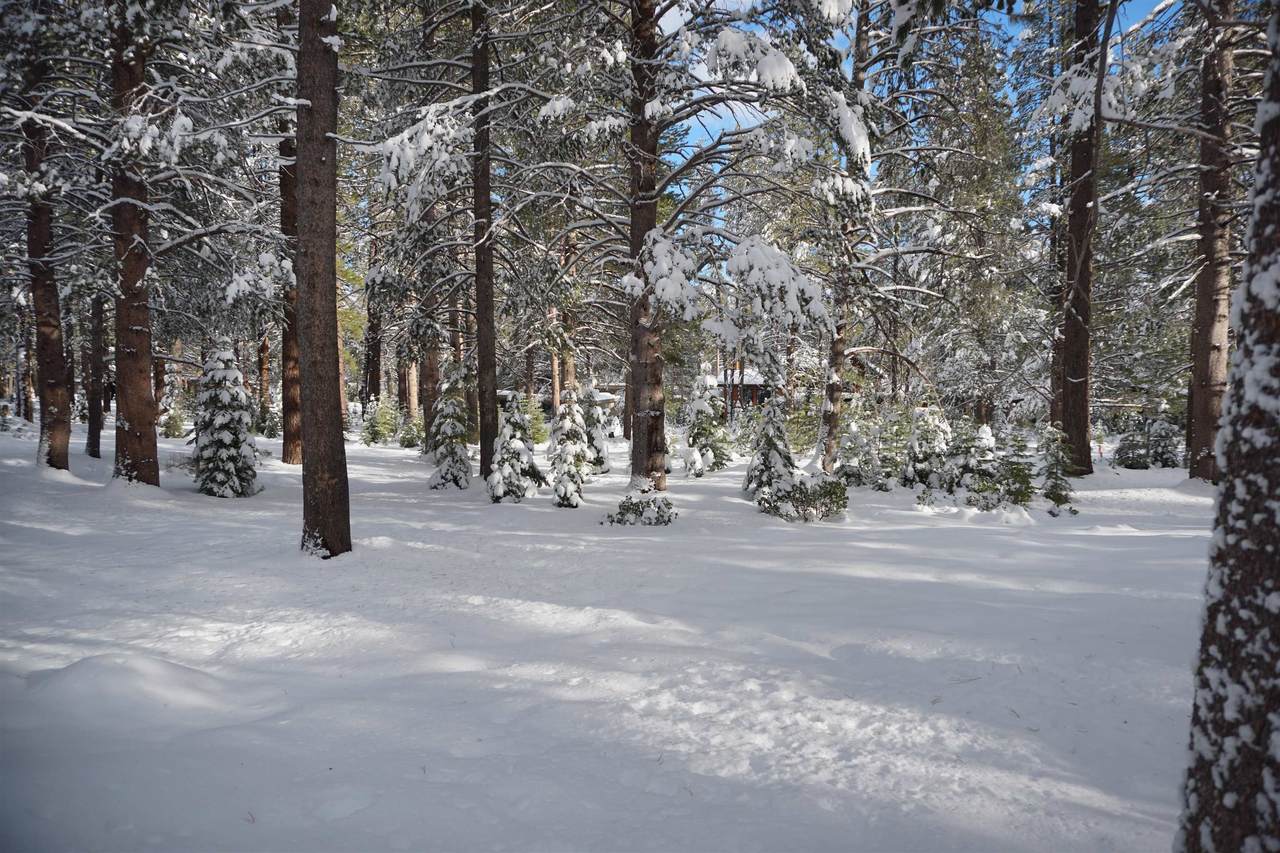 11841 Bottcher Loop - Photo 1