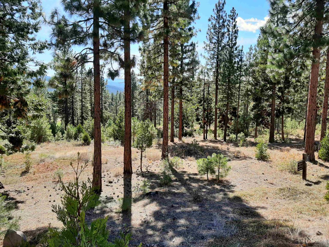 486 Grizzly Ranch Road - Photo 1
