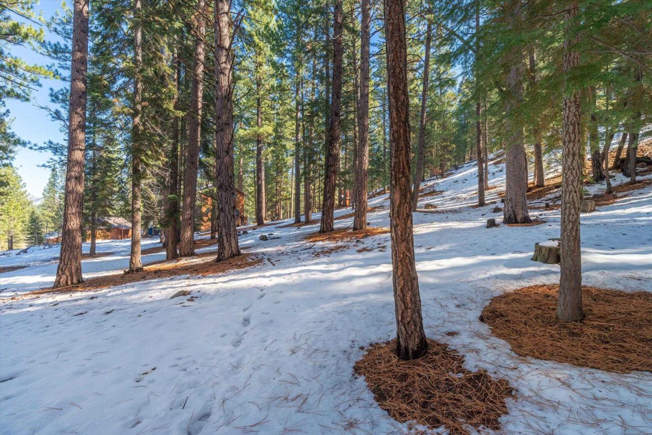 14939 Berkshire Circle - Photo 1