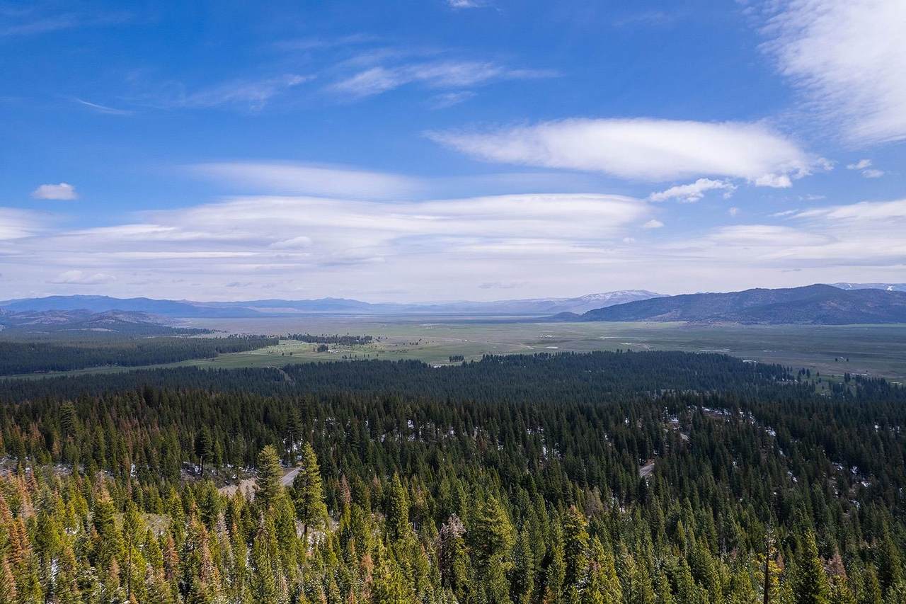0000 Highway 49 - Photo 1