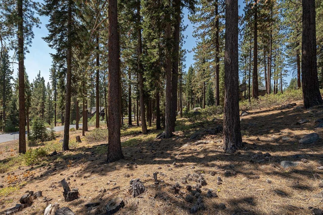 10725 Passage Place - Photo 1