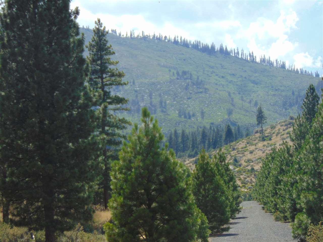 00 Gold Ranch Road - Photo 1