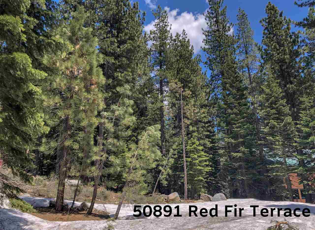 50891 Red Fir Terrace - Photo 1