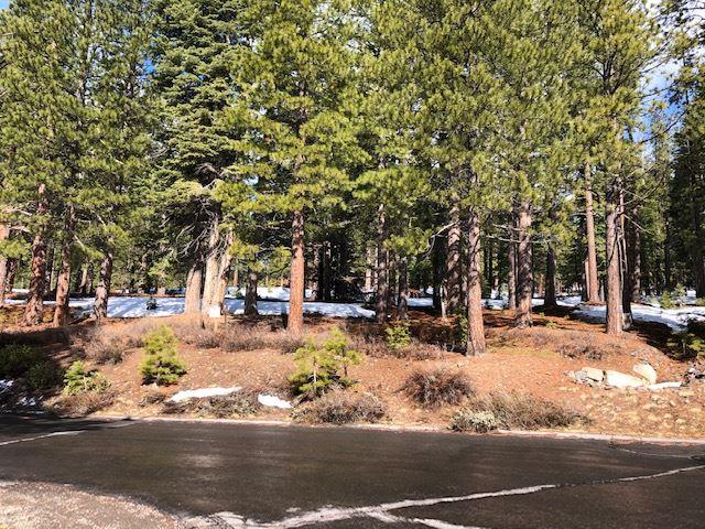 11436 China Camp Road - Photo 1