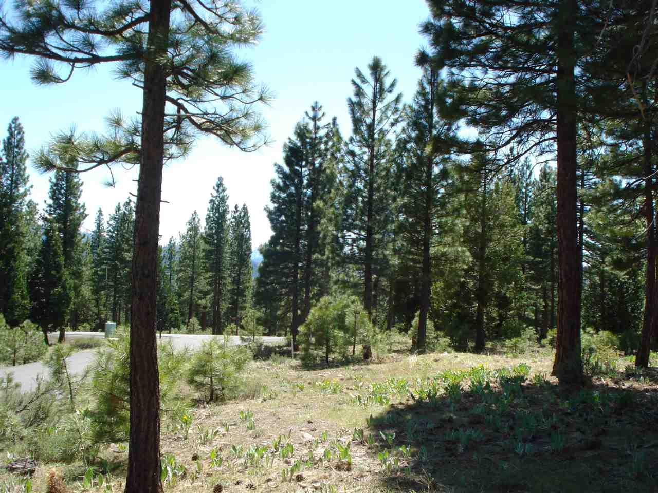 389 Grizzly Ranch Road - Photo 1