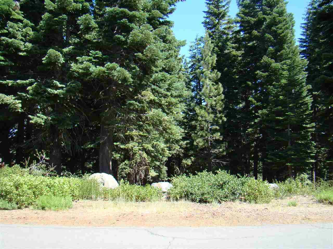 12045 Skislope Way - Photo 1