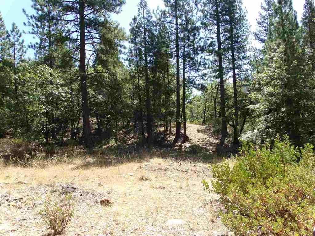 48653 Highway 70 - Photo 1
