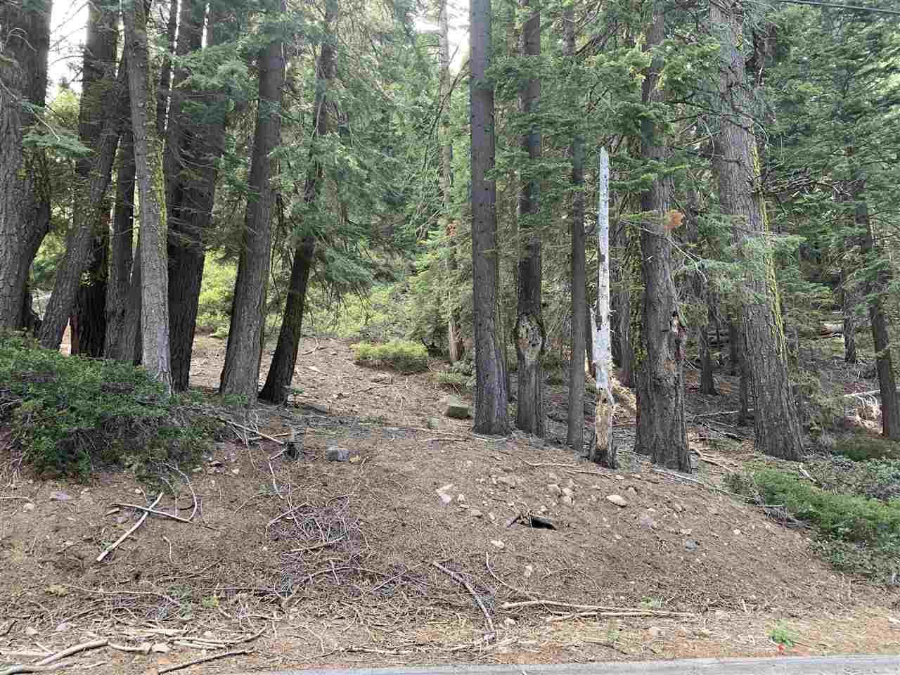 110 Furka Pass Road - Photo 1