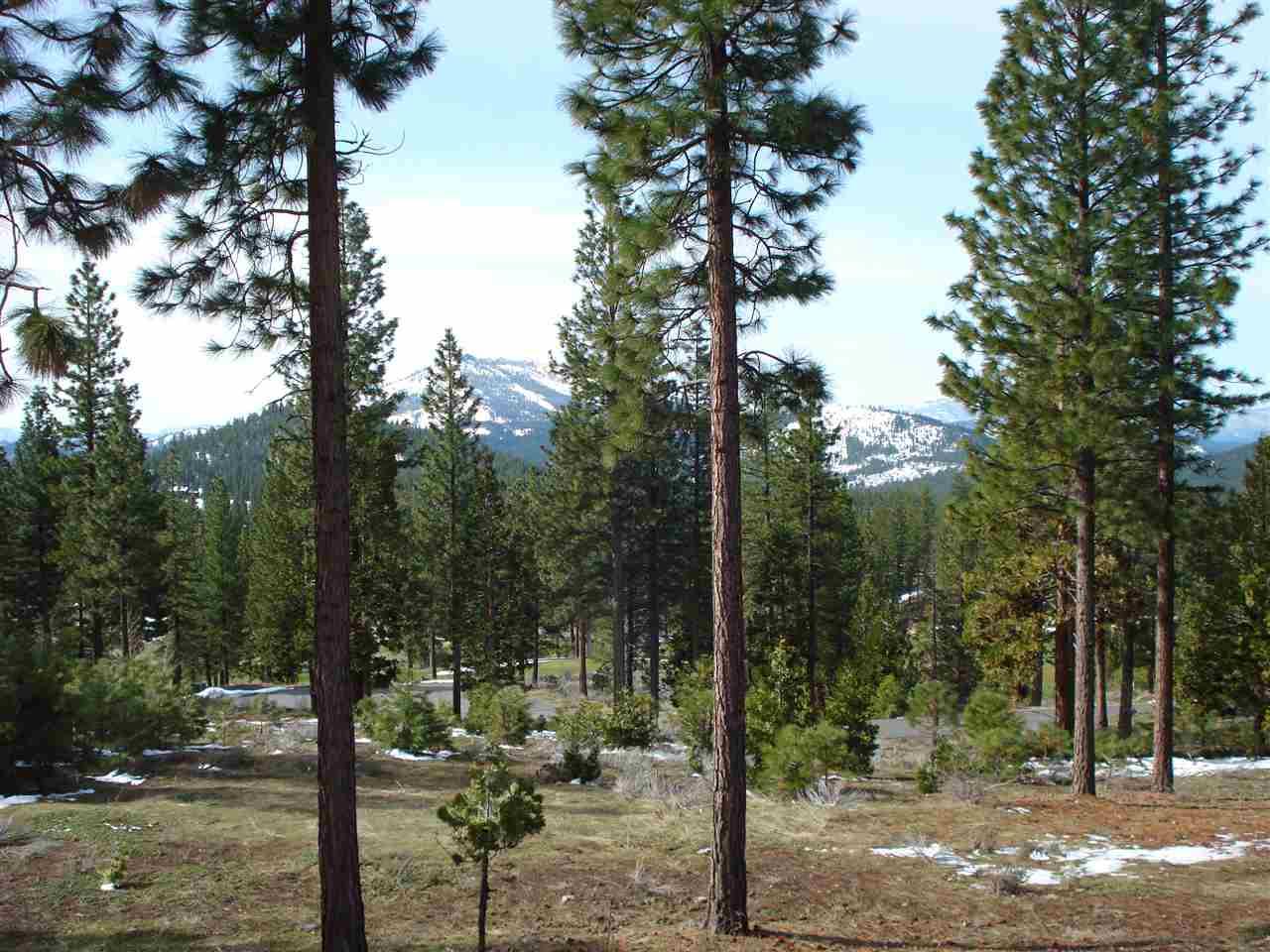 486 Grizzly Ranch Road - Photo 1