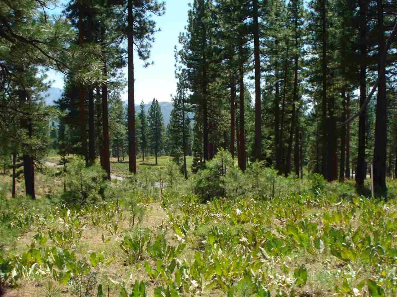 69 Blacktail Ridge - Photo 1