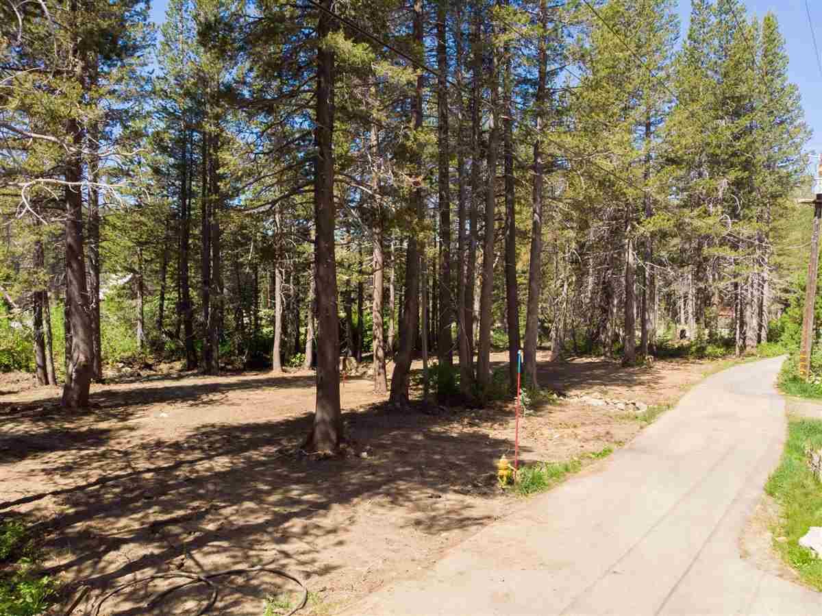 21821 T-Bar Drive - Photo 1