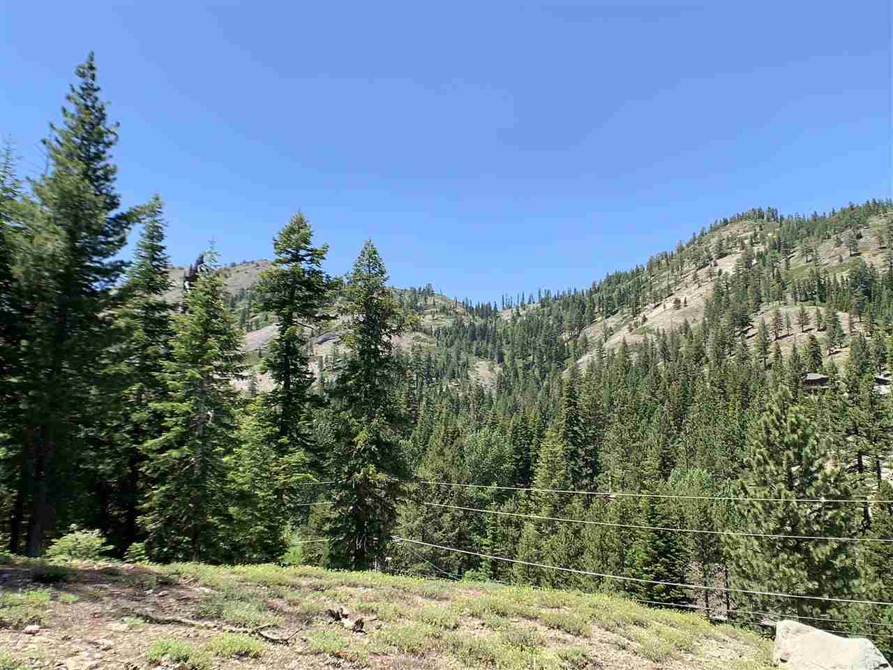 1445 & 1451 Mineral Springs Trail - Photo 1