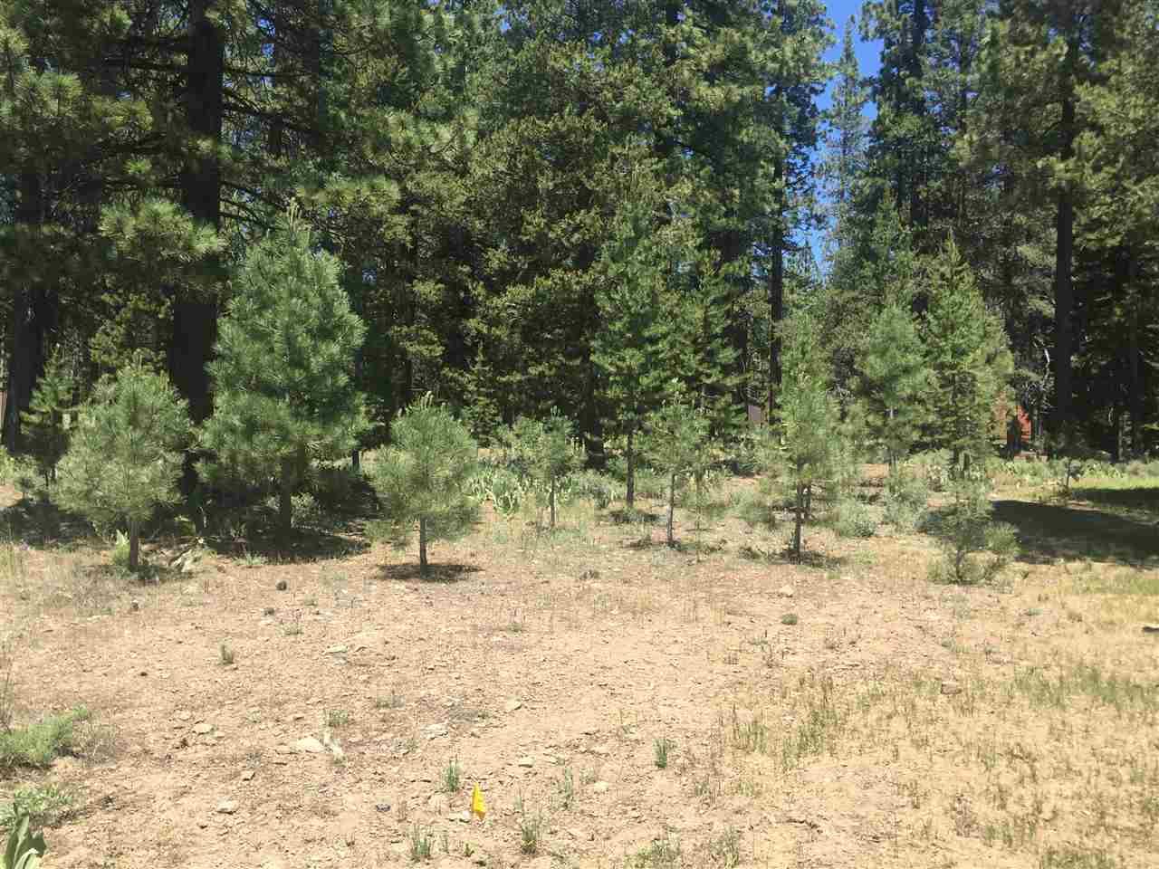 12765 Northwoods Boulevard - Photo 1