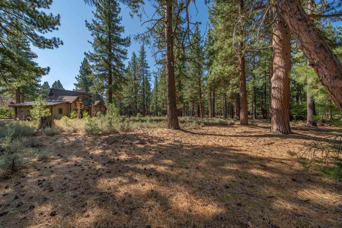 12385 Caleb Drive - Photo 1