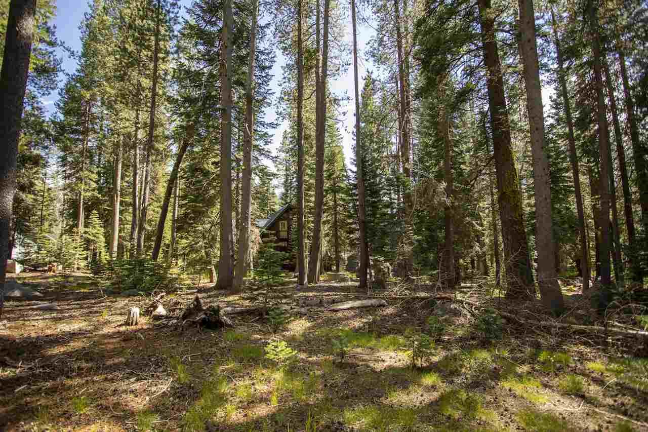 51848 Tamarack Crescent - Photo 1