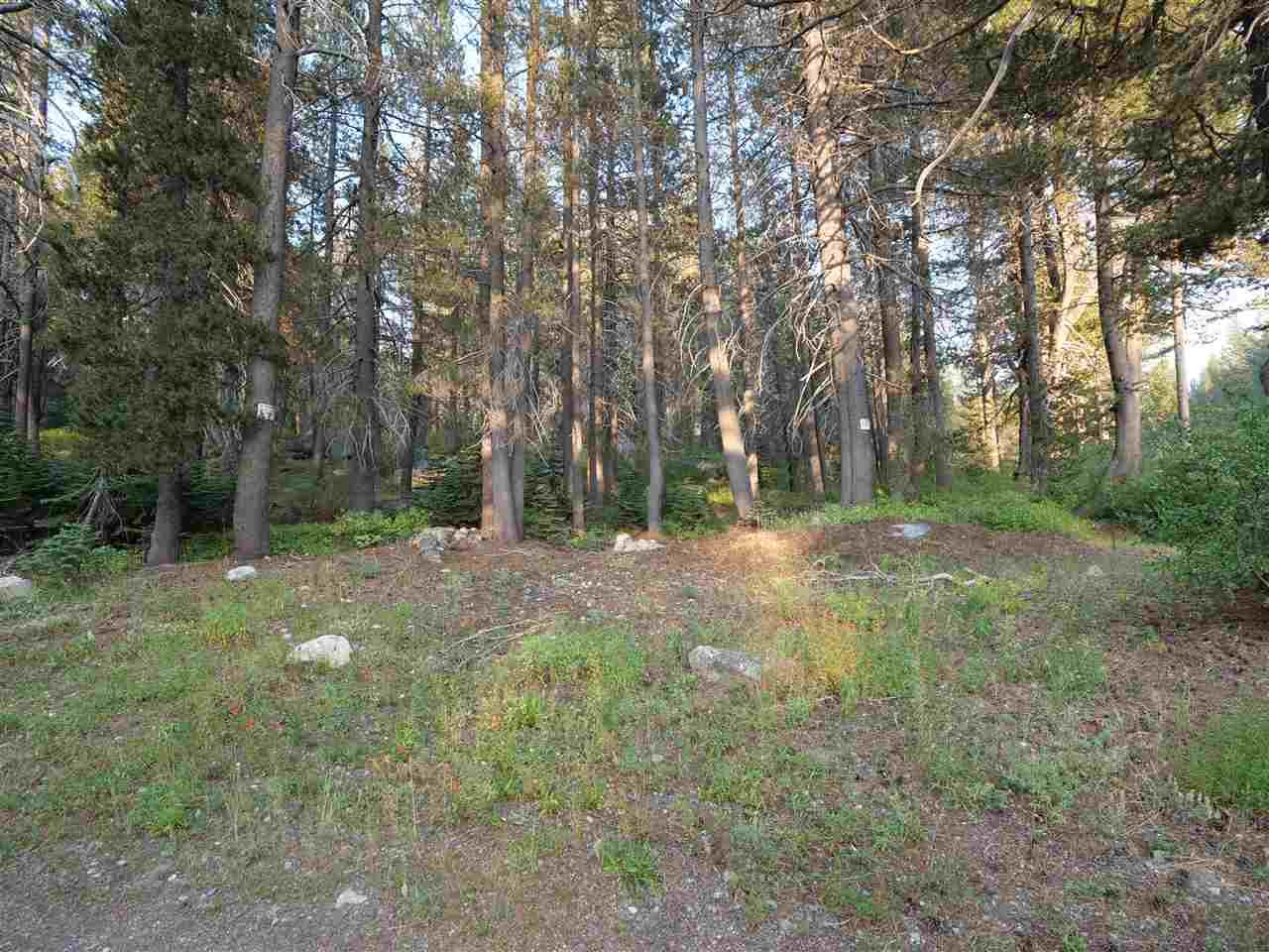 1 Bunny Hill Road - Photo 1