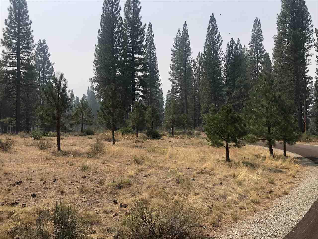 622 Redtail Loop - Photo 1