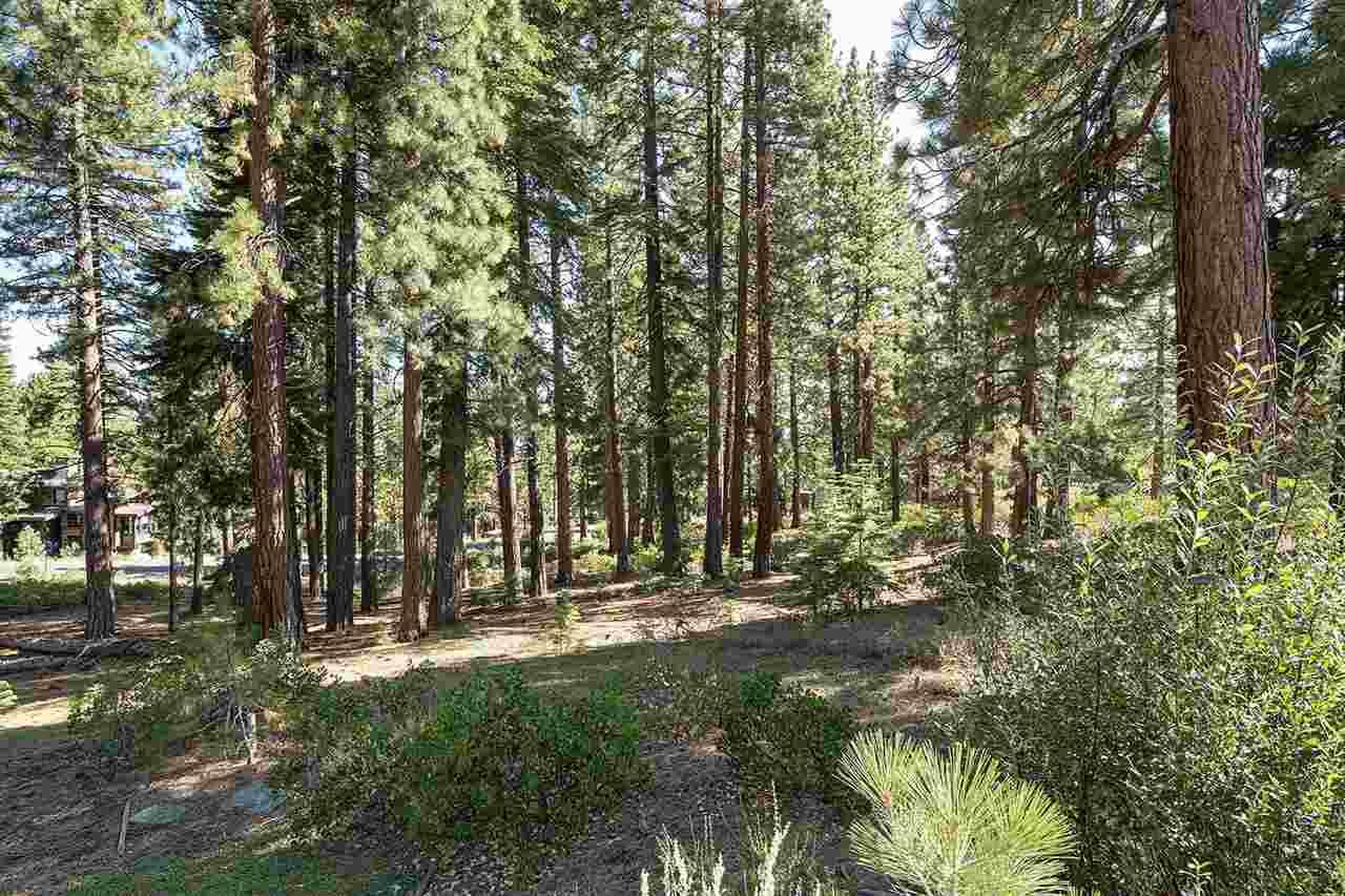 11728 China Camp Road - Photo 1
