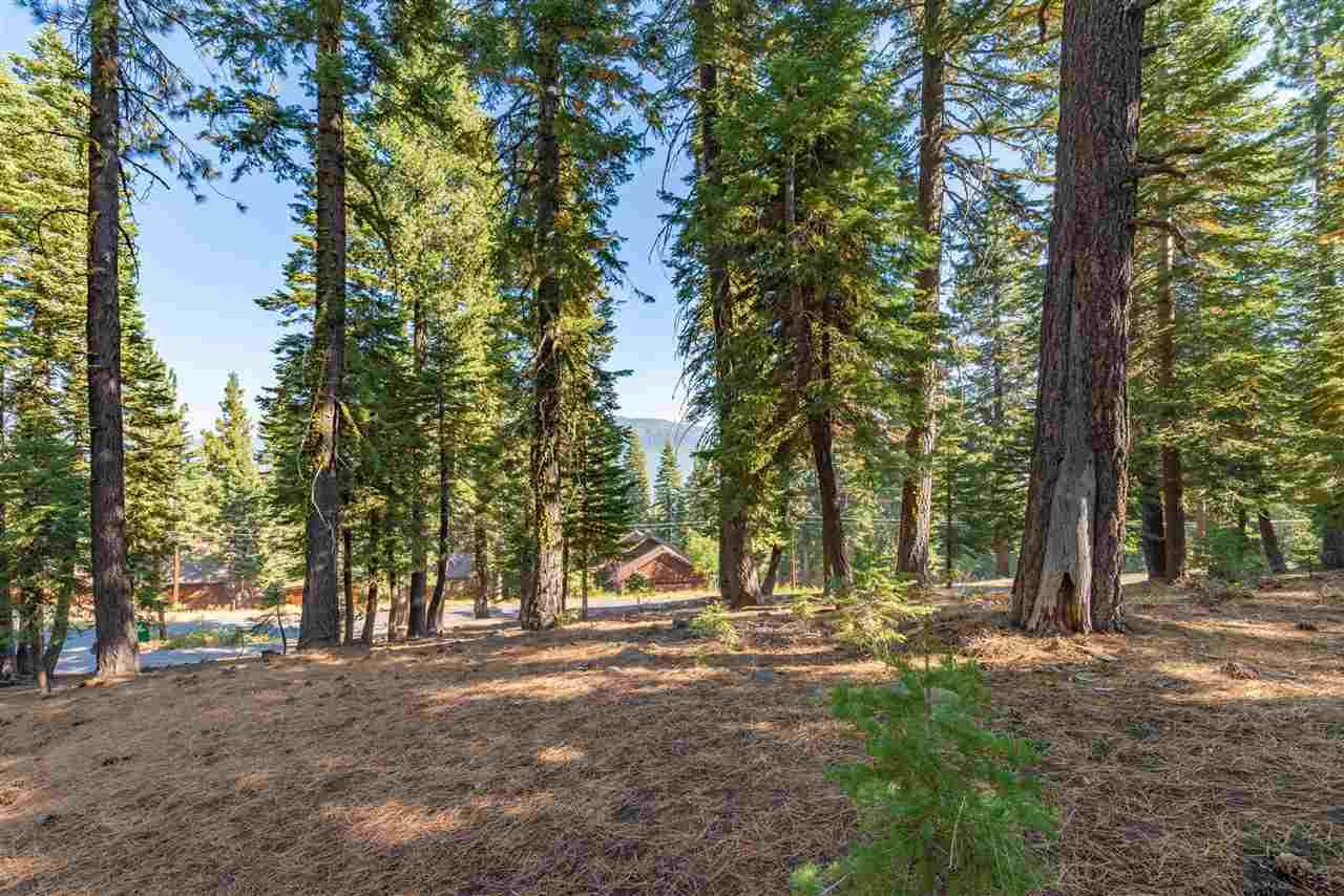 12331 Muhlebach Way - Photo 1